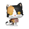 Demon Slayer: Kimetsu no Yaiba POP! Animation Vinyl Figure Chachamaru 9 cm Funko