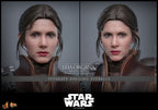 Star Wars Episode VI Movie Masterpiece Action Figure 1/6 Leia Organa (Boushh Disguise) 27 cm