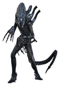 Alien Movie Masterpiece Action Figure 1/6 Alien Warrior 39 cm Hot Toys