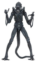 Aliens Ultimate Action Figure Warrior (1986) Blue 23 cm NECA