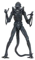 Aliens Ultimate Action Figure Warrior (1986) Blue 23 cm NECA
