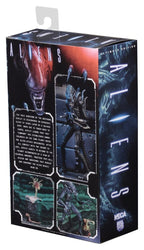 Aliens Ultimate Action Figure Warrior (1986) Blue 23 cm