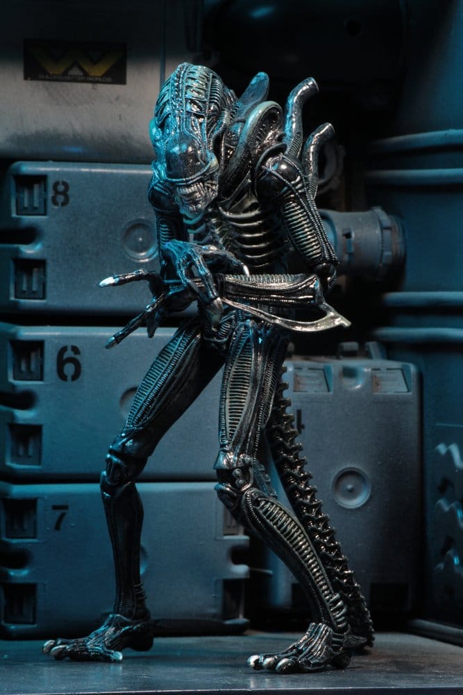 Aliens Ultimate Action Figure Warrior (1986) Blue 23 cm