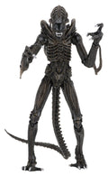Aliens Ultimate Action Figure Warrior (1986) Brown 23 cm NECA