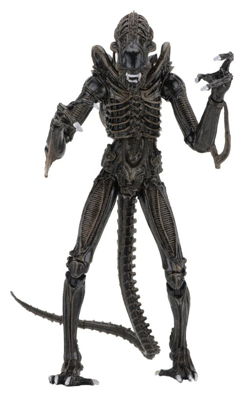 Aliens Ultimate Action Figure Warrior (1986) Brown 23 cm NECA