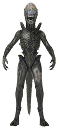 Alien: Earth Ultimate Action Figure Wendy's Xenomorph 18 cm NECA