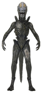 Alien: Earth Ultimate Action Figure Wendy's Xenomorph 18 cm NECA