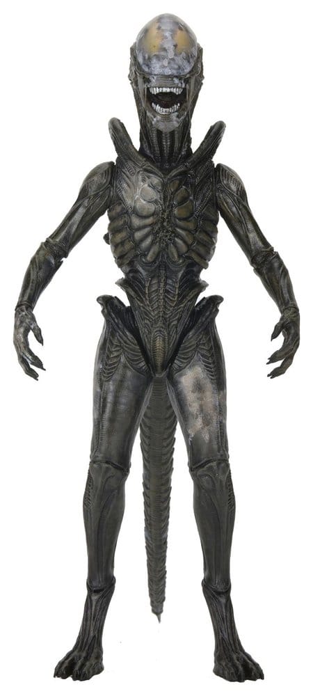 Alien: Earth Ultimate Action Figure Wendy's Xenomorph 18 cm NECA