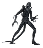 Aliens Ultimate Action Figure Warrior (1986) Xenomorph Black (40th Anniversary) 23 cm NECA