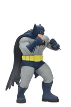DC Comics Action Figures Series 2 15 cm Assortment (12)