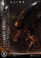 Alien: Romulus Museum Masterline XL Statue 1/3 Scorched Xenomorph 98 cm