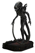 Alien (Film) Museum Masterline XL Statue 1/3 Big Chap Xenomorph Close Up Shot Ver. 100 cm Prime 1 Studio